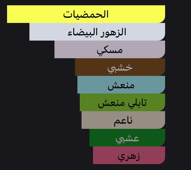 Amirat Al Arab
